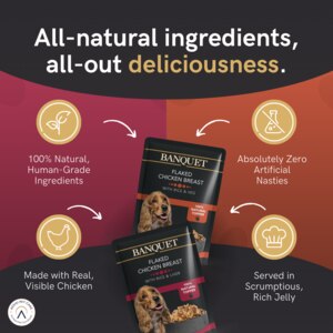 All natural ingredients make this chicken dog food a delicious choice.
